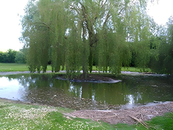 Votre expert en gestion des eaux pluviales à Saint-Maximin-la-Sainte-Baume